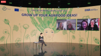 De ce avem nevoie de mai multe femei antreprenor în agricultură