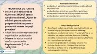 După cele „12 milioane de plăpumi”, „mintea și organismul fizic”, Daea uimește din nou: „Roșii care ar încăpea în 440 de TIR-uri pline, înșirate pe o distanță de 4,5 kilometri”