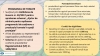 După cele „12 milioane de plăpumi”, „mintea și organismul fizic”, Daea uimește din nou: „Roșii care ar încăpea în 440 de TIR-uri pline, înșirate pe o distanță de 4,5 kilometri”