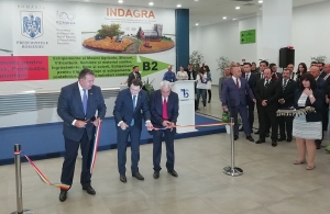România, lider european la culturile de floarea-soarelui şi porumb (Daea, MADR)