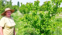 Pepiniera pomicolă, afacerea unei familii de cercetători