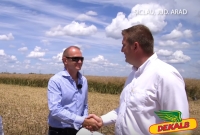 Secretul unei producții de aproape șase tone la hectarul însămânțat cu rapiță