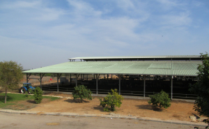 Credite garantate de stat, prin AGRO IMM INVEST