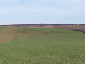 Despăgubiri pentru daunele provocate de speciile cinegetice