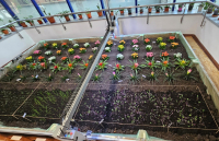 Laborator de agricultură urbană digitală în cadrul ASE București