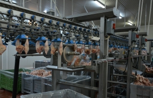 Banii europeni din submăsura 4.2 „Sprijin pentru investiții în procesarea/marketingul produselor agricole”, doar pentru anumite proiecte