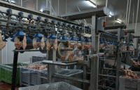 Banii europeni din submăsura 4.2 „Sprijin pentru investiții în procesarea/marketingul produselor agricole”, doar pentru anumite proiecte