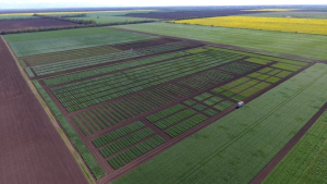 „O zi din viața unui ameliorator de plante”, la SCDA Lovrin