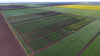 „O zi din viața unui ameliorator de plante”, la SCDA Lovrin
