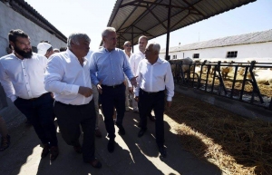 Mesaj televizat încurajator de la ministrul Agriculturii, Petre Daea: „Suntem în stare să producem urgent pentru a înlocui pierderile. Nu putem să-i lăsăm pe români fără porci”