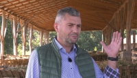 Creșterea oilor, de la faza „după ureche”, la „ca la carte”