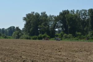 Submăsura 6.3: AFIR a selectat 1.334 de mici fermieri pentru finanțare din fonduri nerambursabile