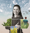 Un fertilizant foliar unic. Kinsidro Nutri îmbunătățește în mod natural vitalitatea plantelor
