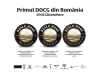 2019, cel mai dificil an din istoria regiunii Dealu Mare. 10 crame s-au asociat și au creat un sistem care să garanteze calitatea vinului