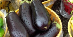 Care este secretul unor recolte reușite de legume sau de plante tehnice