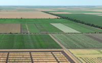 Proiect european dedicat cercetării și inovării în ameliorarea plantelor