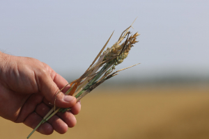 Experiment MADR: Stimularea precipitațiilor în zone cu risc de secetă