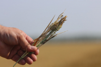 Experiment MADR: Stimularea precipitațiilor în zone cu risc de secetă