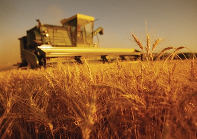 Până pe 31 decembrie 2010 se pot depune cererile de acord prealabil pentru finanţarea prin rambursare pentru motorina utilizată în agricultură pentru anul 2011