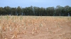 Start cu stângul în anul agricol 2019-2020