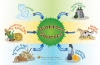 Agricultura și industria procesării alimentelor, principalele surse locale de biomasă - raport