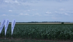 Agricultura viitorului iscusit