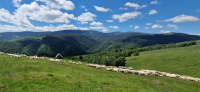 Cercetare și modernizare în pastoralismul montan