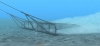 Traularea fundului Mării Negre în căutarea melcului rapană creează probleme altor specii - Achim Irimescu