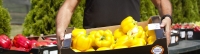 „Noi muncim, noi nu gândim” pare a fi sloganul Ministerului Agriculturii