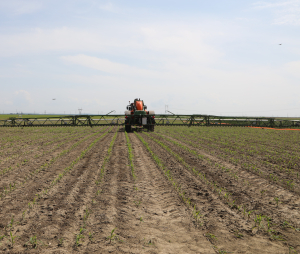 O viitoare PAC favorabilă agricultorilor și bazată pe cunoaștere