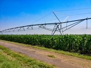 O politică agricolă adaptată realității, nu măsuri pompieristice