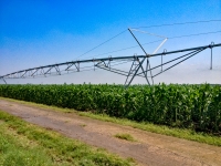 O politică agricolă adaptată realității, nu măsuri pompieristice