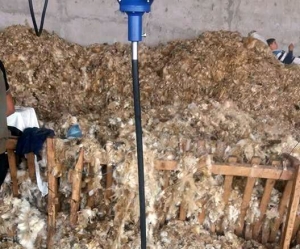 România poate colecta 30.000 de tone de lână prin 20 de centre specializate