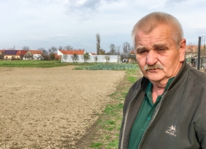 Un deceniu cu legume bio și peste 30 de produse cu preț prestabilit, la coș