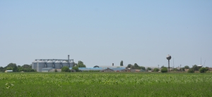 Tinerii fermieri mai au la dispoziție 38,19 milioane de euro din PNDR 2020