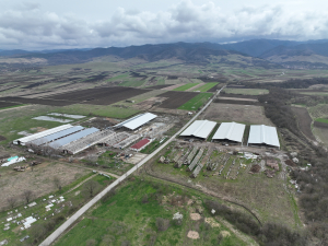 Agricultura riscă să rămână fără subvenții. Pentru securitatea alimentară a Uniunii Europene, semnează petiția!