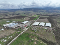 Agricultura riscă să rămână fără subvenții. Pentru securitatea alimentară a Uniunii Europene, semnează petiția!