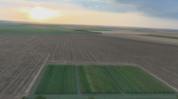 „Să grăbim culturile”. Schimbările climatice impun schimbări în tehnologia de producție
