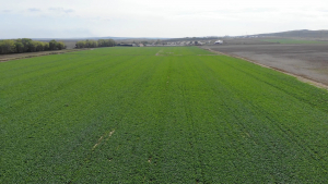 Numărul cooperativelor agricole, în creștere