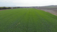 Numărul cooperativelor agricole, în creștere