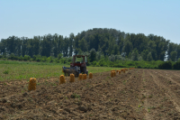 Agricultura, buget suplimentat pentru ca MADR să plătească subvențiile fermierilor
