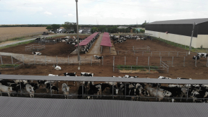 PAC nu stimulează fermierii să utilizeze practici eficiente benefice pentru climă