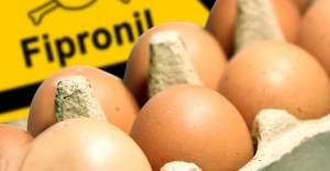 Ouă cu Fipronil în Drăgănești-Vlașca
