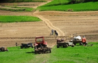 Brăila: Doar 1.200 ha de teren agricol lăsate pârloagă (0,31%)