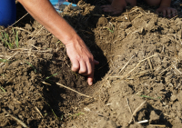 Analiza de sol, esențială pentru performanță în agricultură