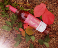 Vinul roze, mereu în tendințe