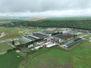 România are mare nevoie de cooperative agricole