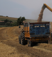 Fără importuri din Ucraina, 30 de zile