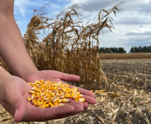 Provocările agriculturii și viitorul PNS, dezbătute la Congresul „De la fermieri pentru fermieri”