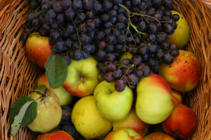 Produse bio românești la ISRAFOOD